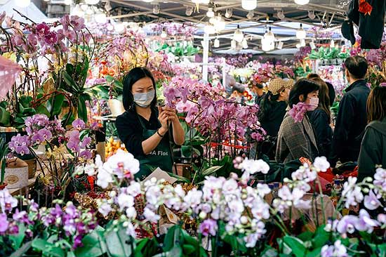 Blumenmarkt (c) Hong Kong Tourism Board